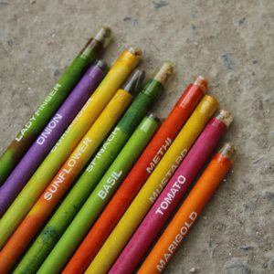 plantable seed pencil